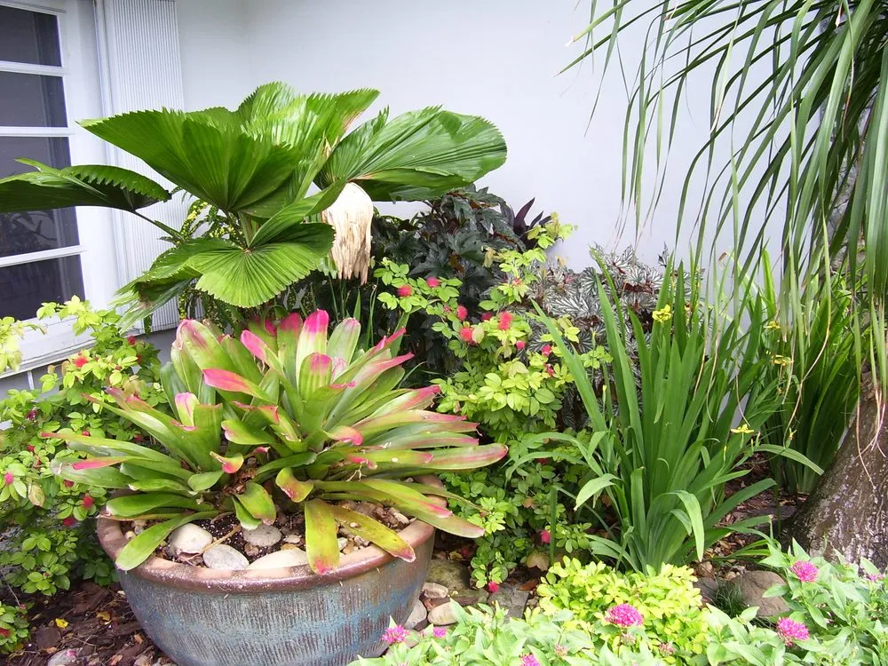 Professional garden landscaping experts serving Cooper City, FL - Tropical View Landscape