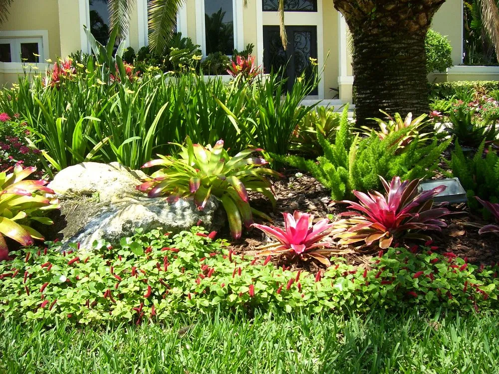 Professional landscape design in Cooper City, FL - Tropical View Landscape