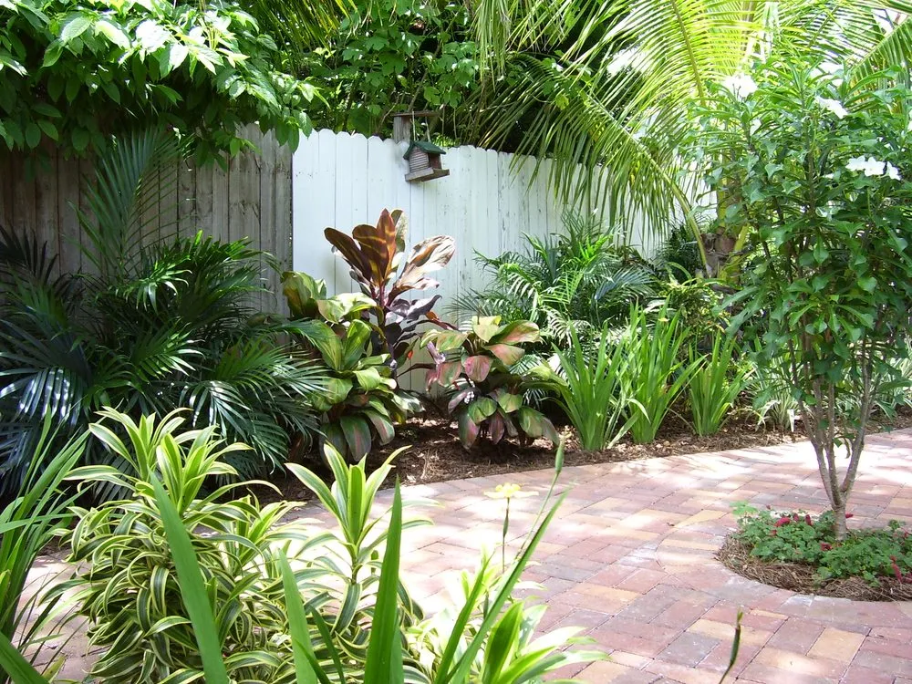 Reliable landscaping services for outdoor upgrades across Cooper City, FL - Tropical View Landscape