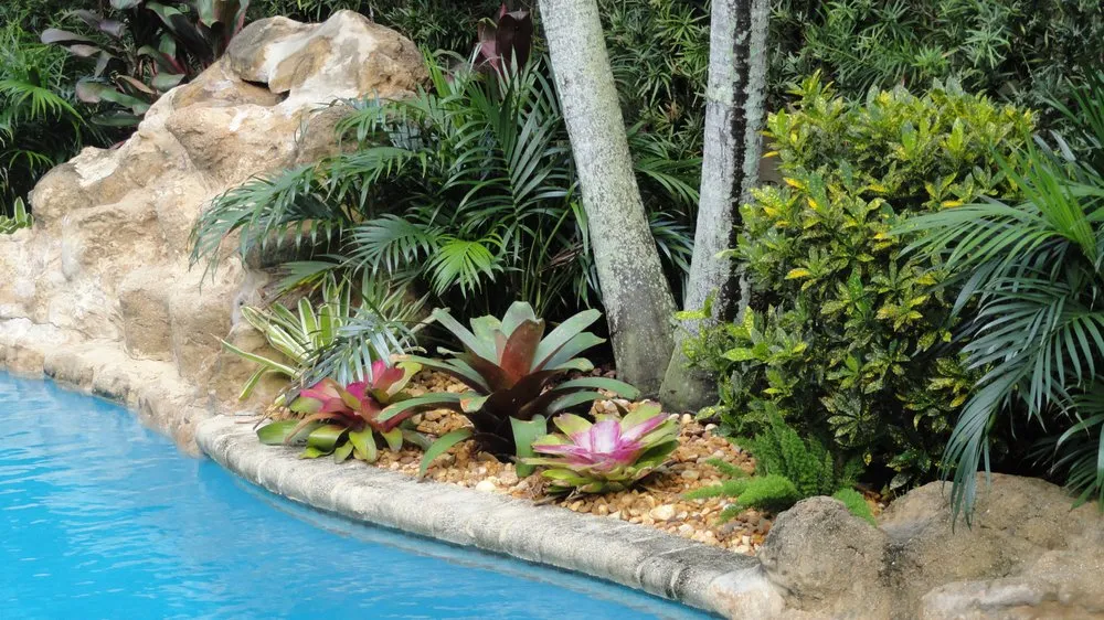 Reliable yard cleanup service in Cooper City, FL by Tropical View Landscape