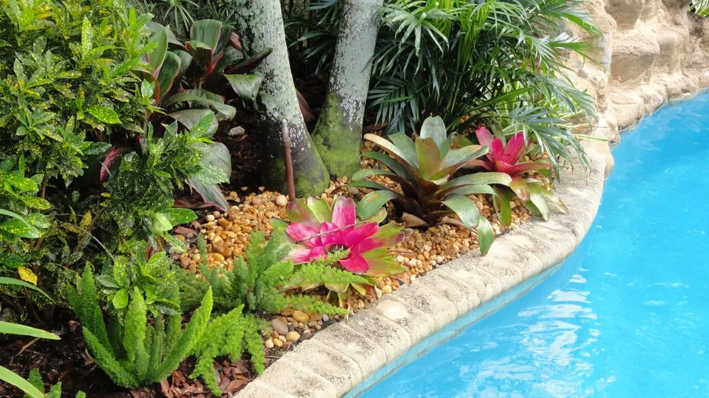 Top-rated lawn mowing service in Cooper City, FL by Tropical View Landscape