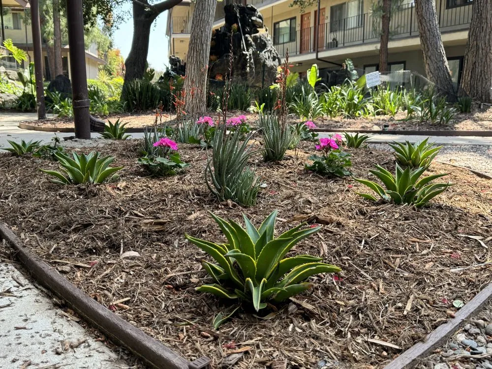 Local landscaping services in San Pedro, CA by Tropicana Landscape