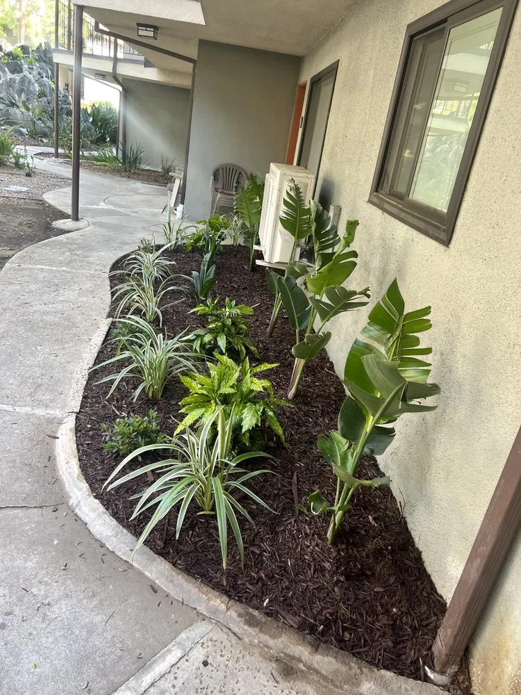 Custom landscape design for homes in San Pedro, CA by Tropicana Landscape