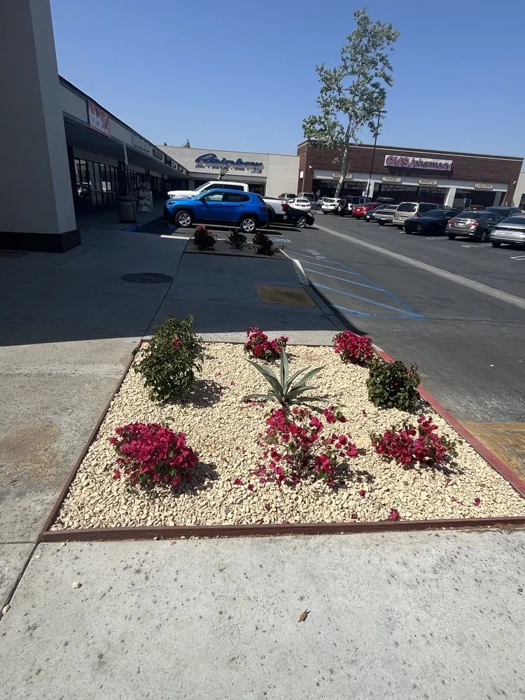 Affordable landscape design for year-round maintenance in San Pedro, CA by Tropicana Landscape
