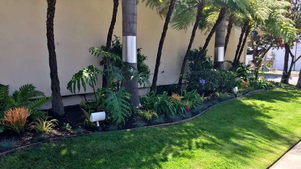 Expert residential landscaping for homes across San Pedro, CA - Tropicana Landscape