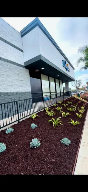 Top-rated outdoor landscaping in San Pedro, CA by Tropicana Landscape