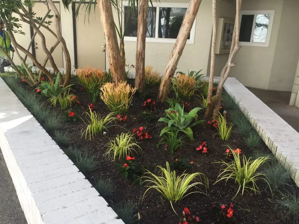 Top-rated landscaping services in San Pedro, CA - Tropicana Landscape