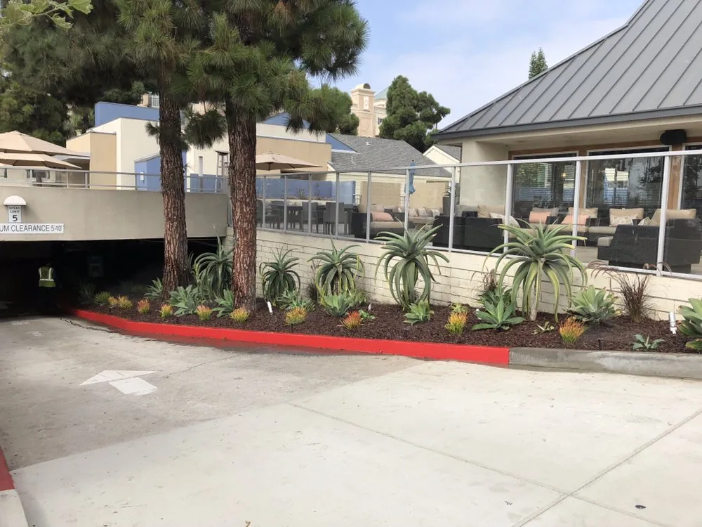 Professional yard maintenance in San Pedro, CA by Tropicana Landscape
