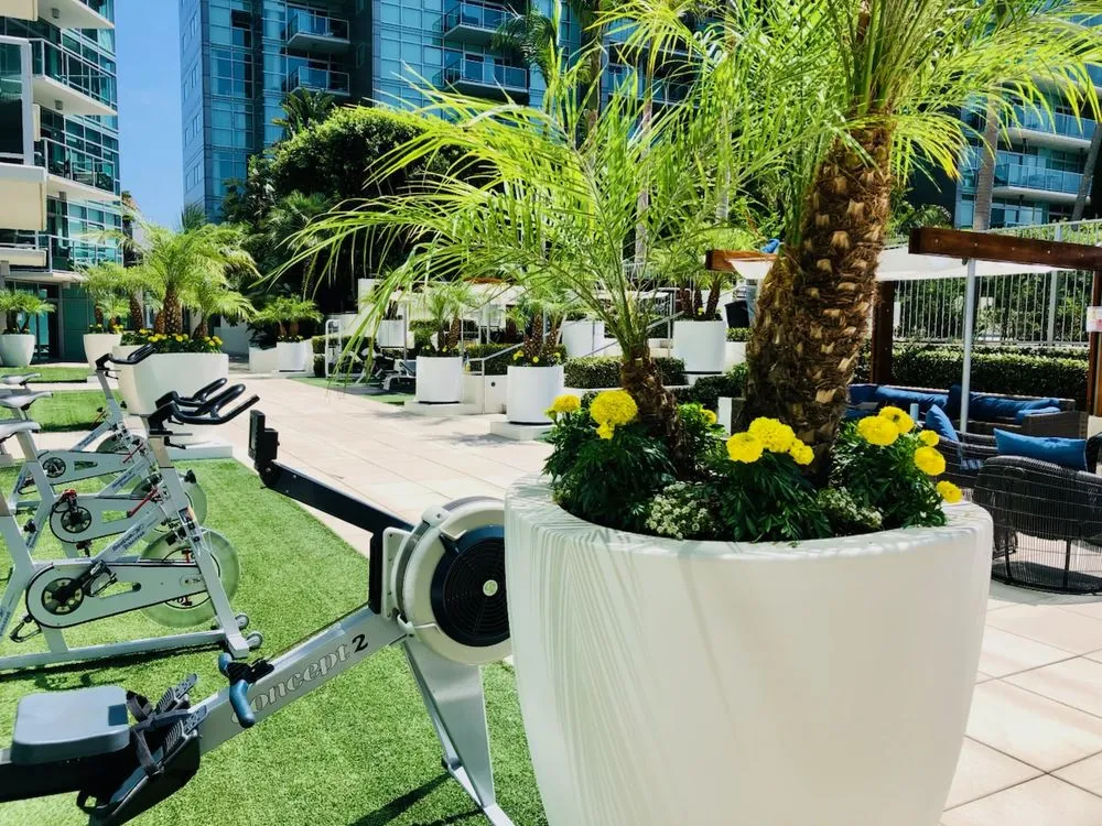 Professional yard maintenance in San Pedro, CA by Tropicana Landscape