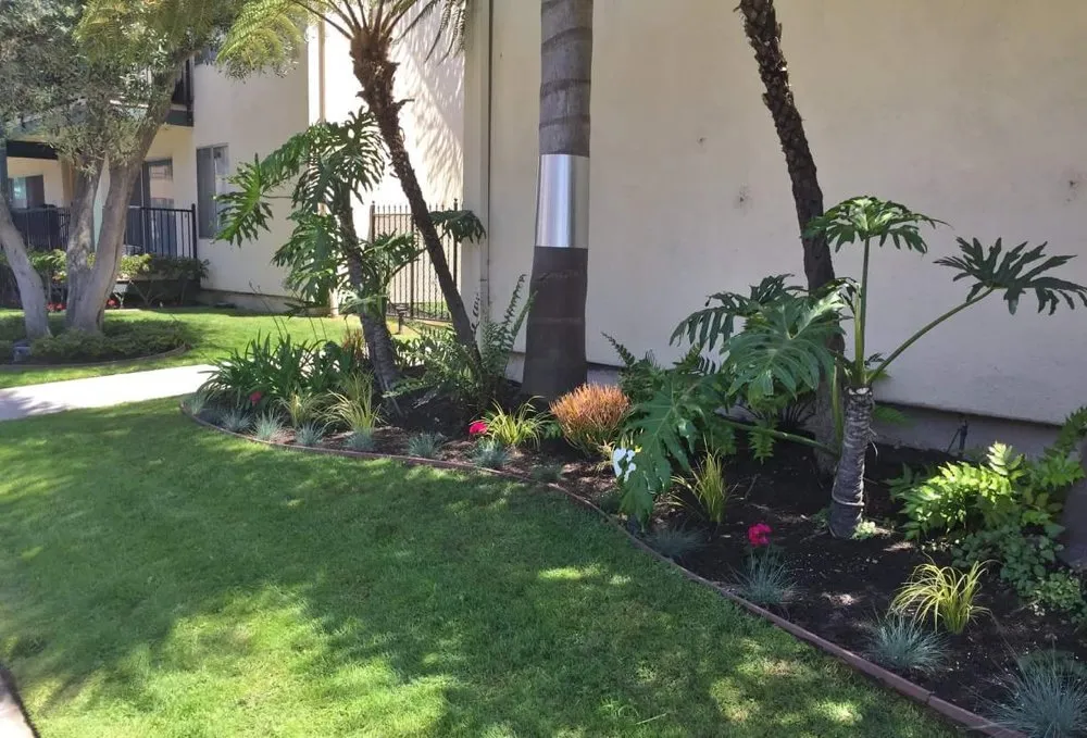 Top-rated lawn mowing service experts serving San Pedro, CA - Tropicana Landscape