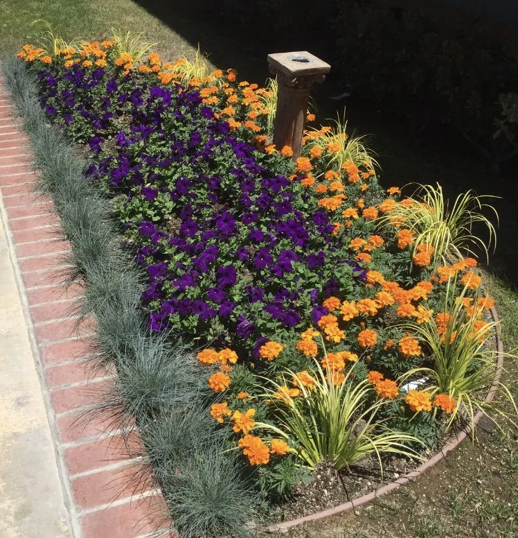 Professional landscape installation near you across San Pedro, CA - Tropicana Landscape