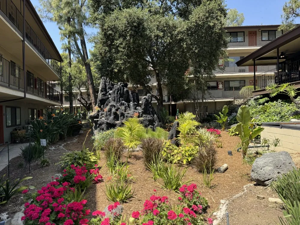 Professional residential landscaping in San Pedro, CA - Tropicana Landscape