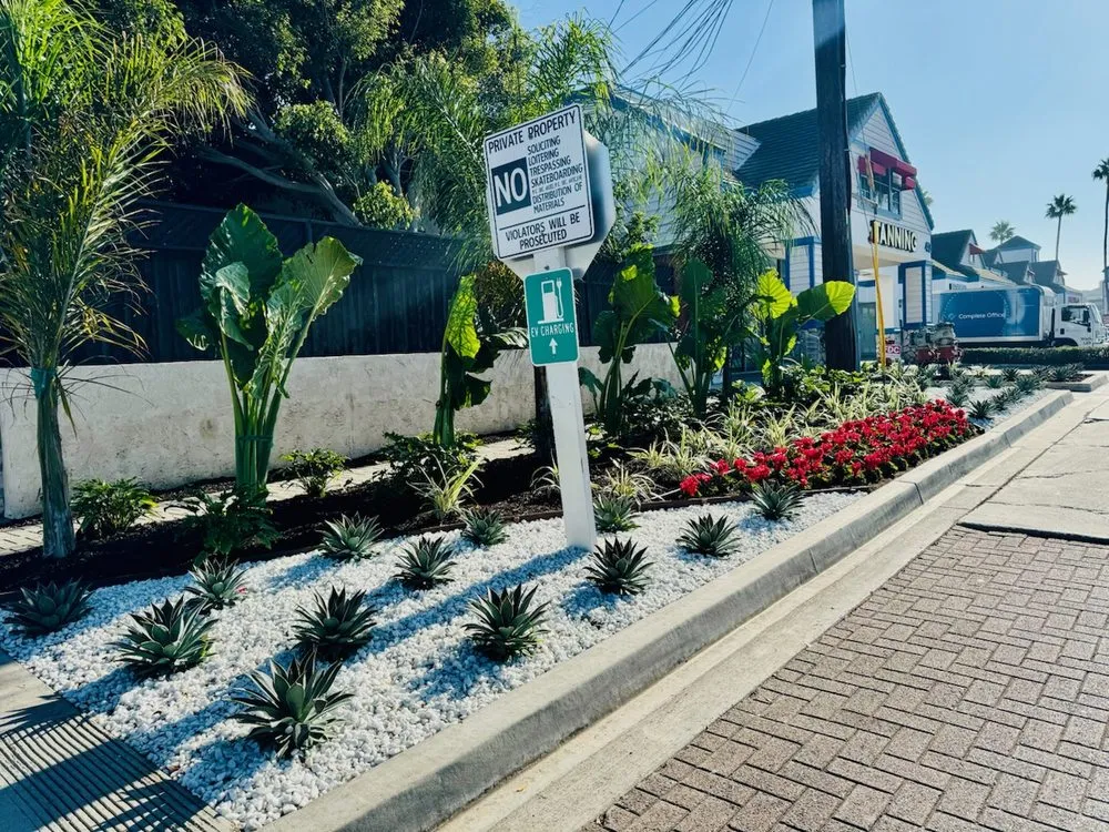 Trusted yard maintenance for beautiful yards in San Pedro, CA by Tropicana Landscape