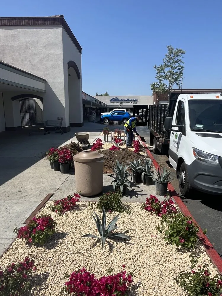 Expert outdoor landscaping in San Pedro, CA - Tropicana Landscape