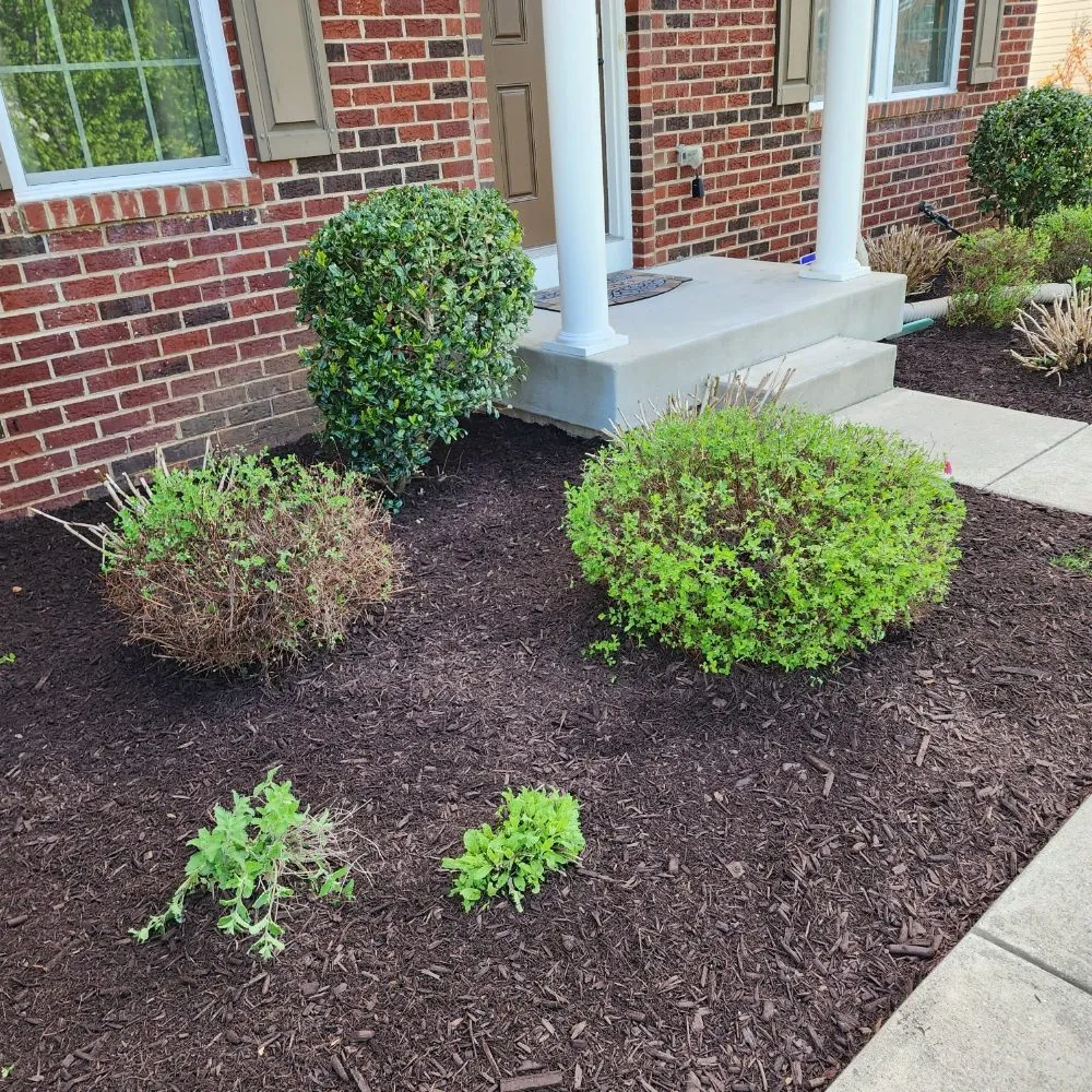 Reliable lawn mowing service experts serving Forest Heights, MD - tropics landscaping