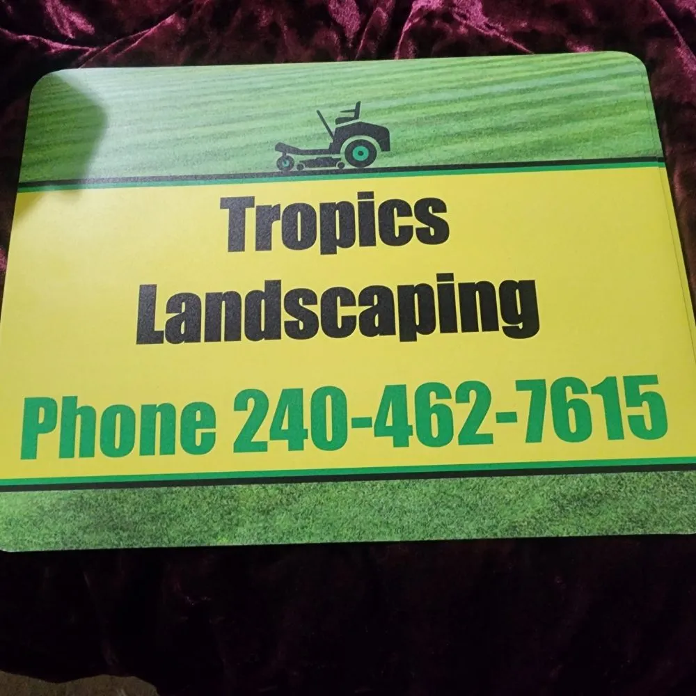 Local lawn care service in Forest Heights, MD - tropics landscaping