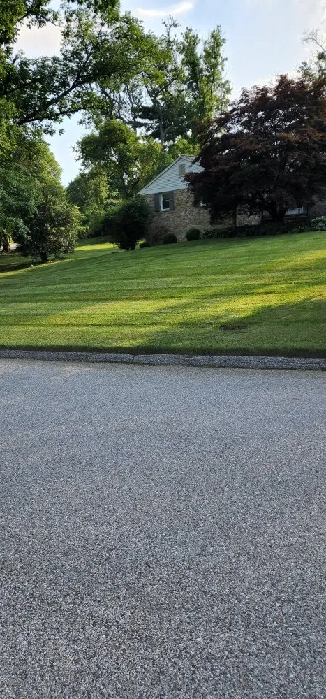 Top-rated landscape design experts serving Forest Heights, MD - tropics landscaping