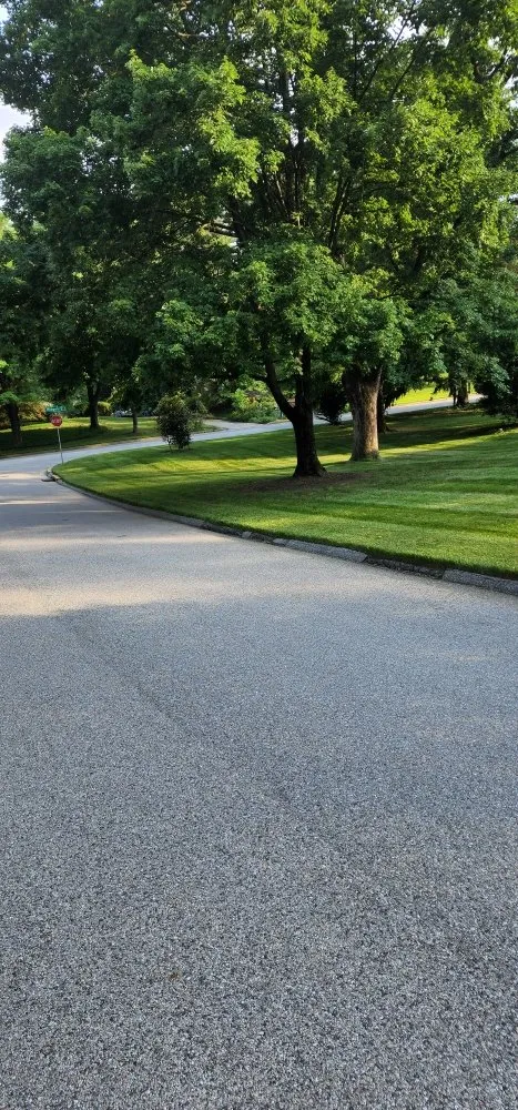 Reliable landscape design experts serving Forest Heights, MD - tropics landscaping