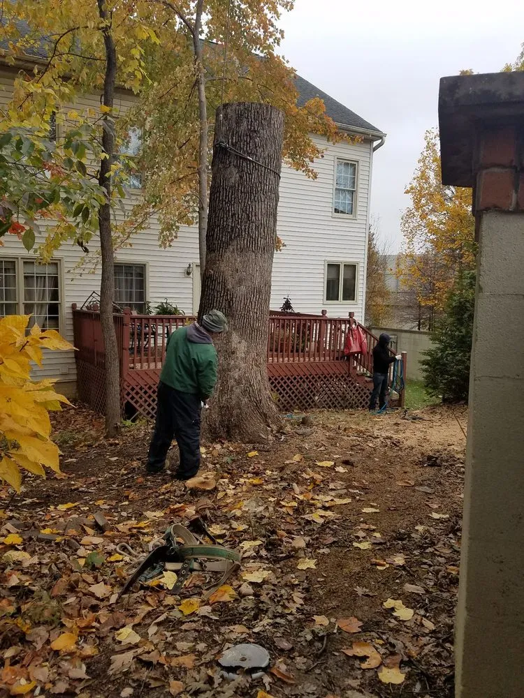 Top-rated residential landscaping experts serving Alexandria, VA - Tropilawn Landscaping