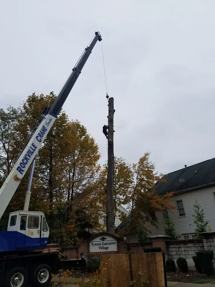 Top-rated landscaping services experts serving Alexandria, VA - Tropilawn Landscaping