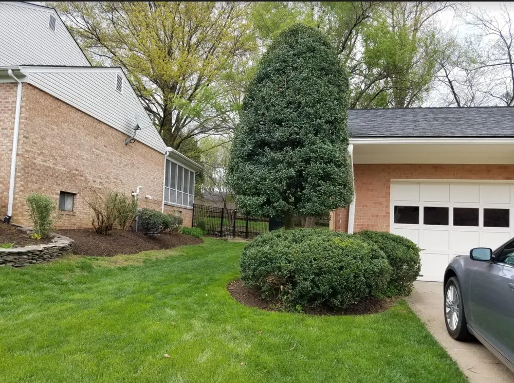 Top-rated outdoor landscaping for residential properties across Alexandria, VA - Tropilawn Landscaping