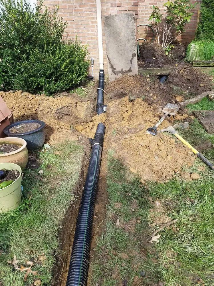 Local garden landscaping in Alexandria, VA by Tropilawn Landscaping