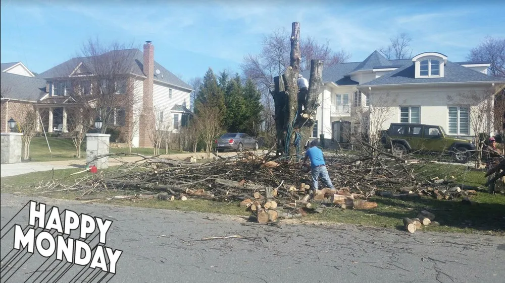 Local yard maintenance near you in Alexandria, VA by Tropilawn Landscaping