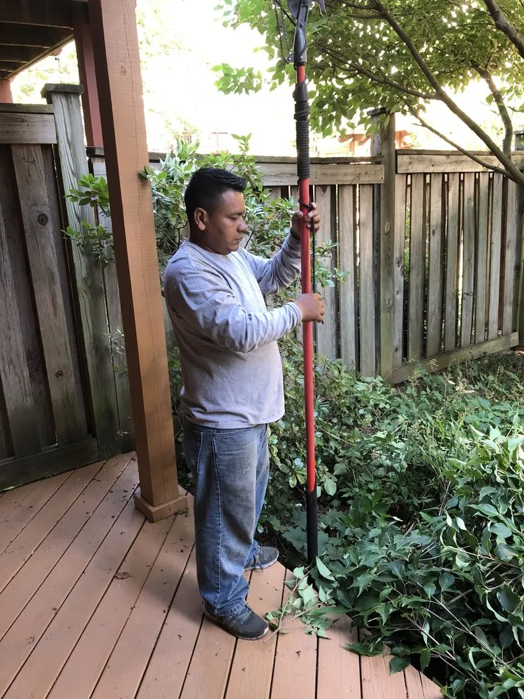 Trusted yard cleanup service for year-round maintenance in Alexandria, VA by Tropilawn Landscaping