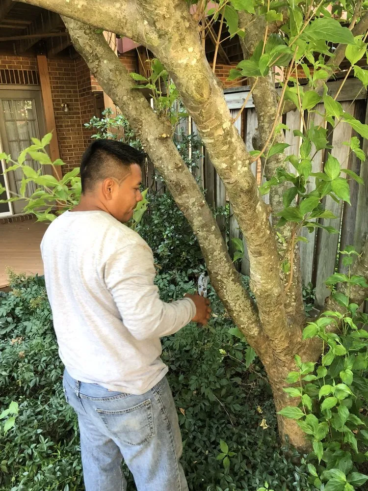 Local residential landscaping in Alexandria, VA by Tropilawn Landscaping