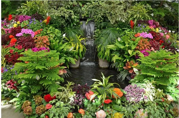 Local yard maintenance in Alexandria, VA - Tropilawn Landscaping