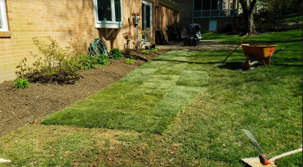 Top-rated lawn mowing service in Alexandria, VA by Tropilawn Landscaping
