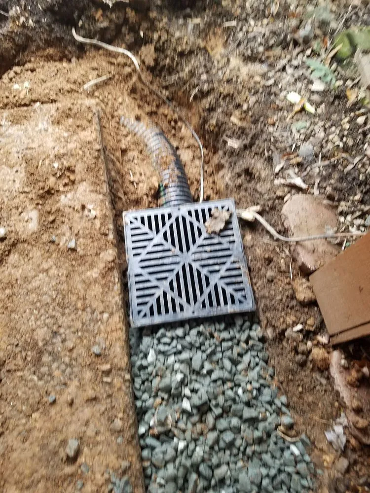 Affordable landscape installation experts serving Alexandria, VA - Tropilawn Landscaping