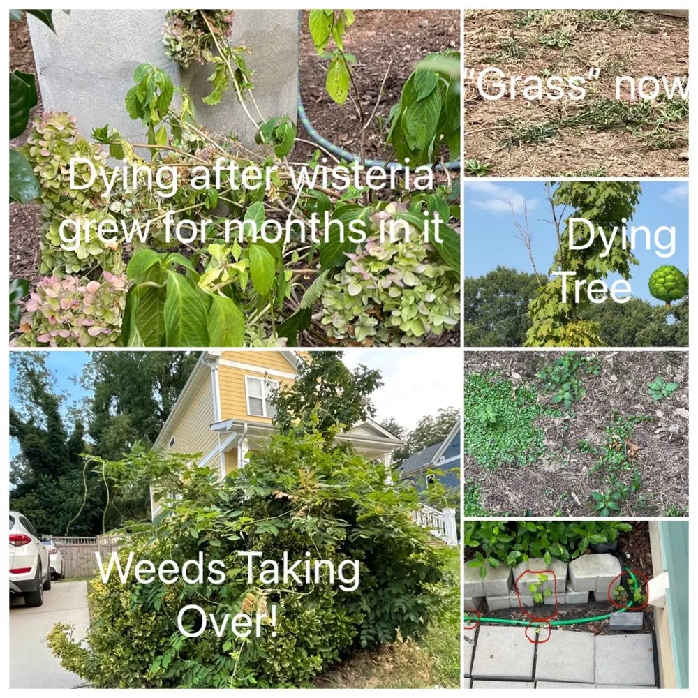 Affordable landscape design in Durham, NC by TROSA Lawn Care