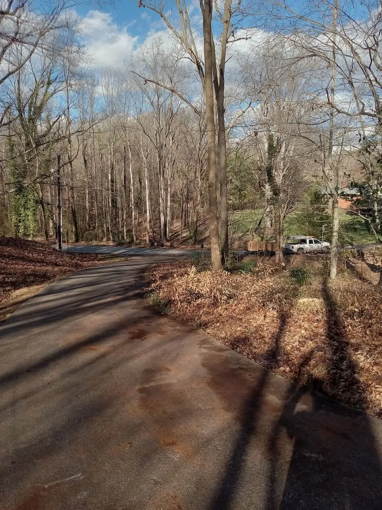 Expert yard cleanup service for outdoor upgrades across Lexington, NC - Trotter Tree Service and Landscaping