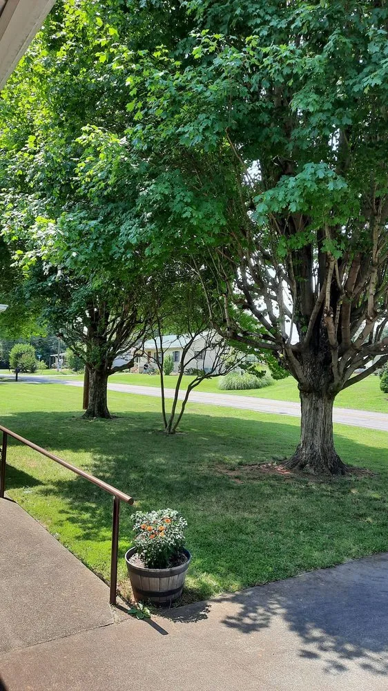 Top-rated landscape design in Lexington, NC by Trotter Tree Service and Landscaping