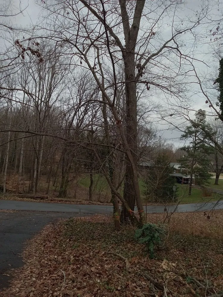 Reliable landscape installation in Lexington, NC by Trotter Tree Service and Landscaping