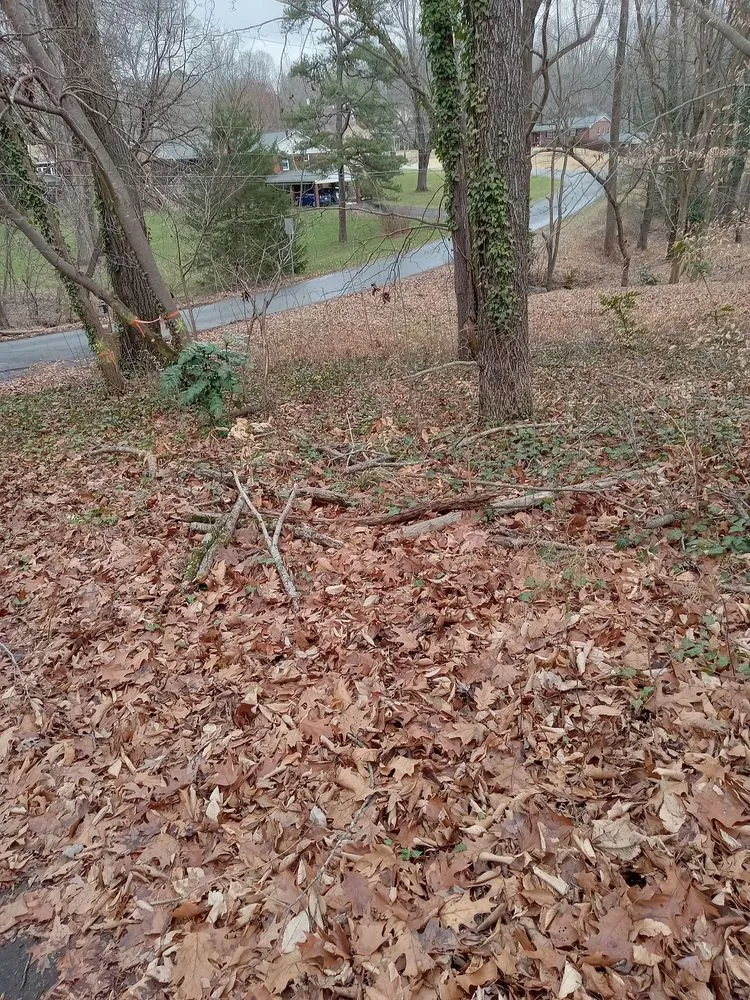 Local outdoor landscaping for homes in Lexington, NC by Trotter Tree Service and Landscaping