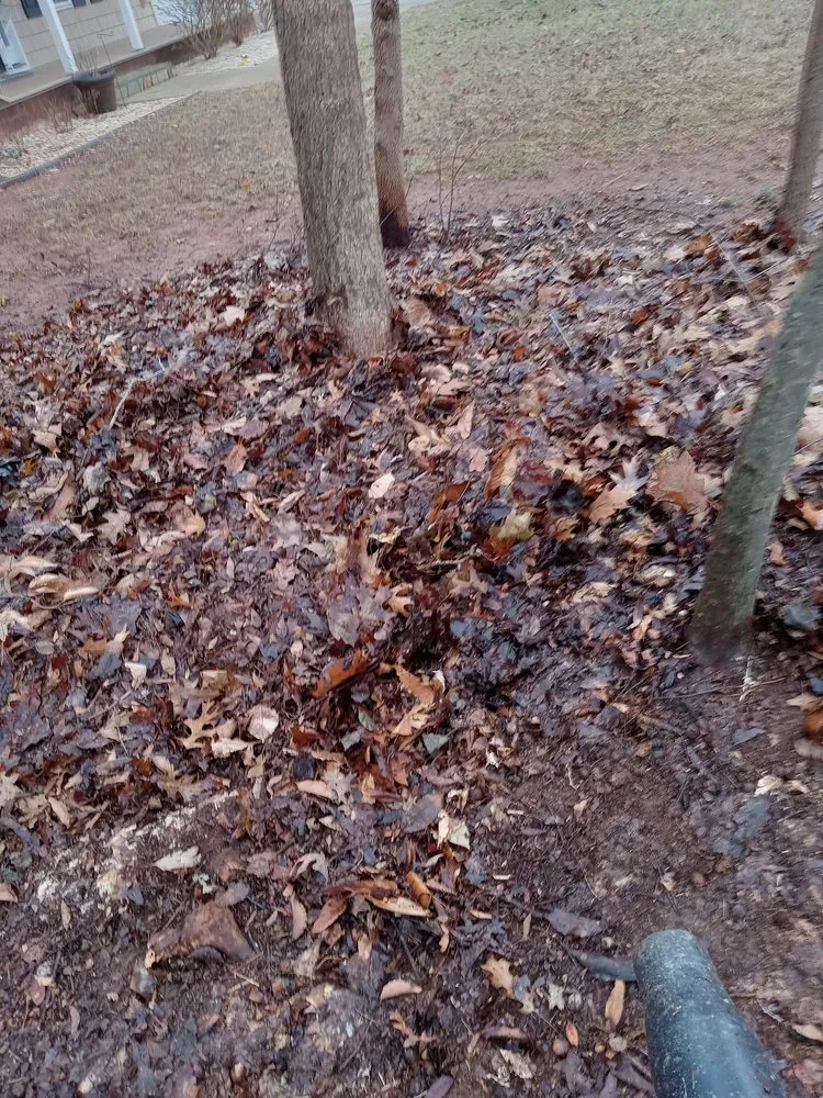 Local lawn care service with custom design in Lexington, NC by Trotter Tree Service and Landscaping