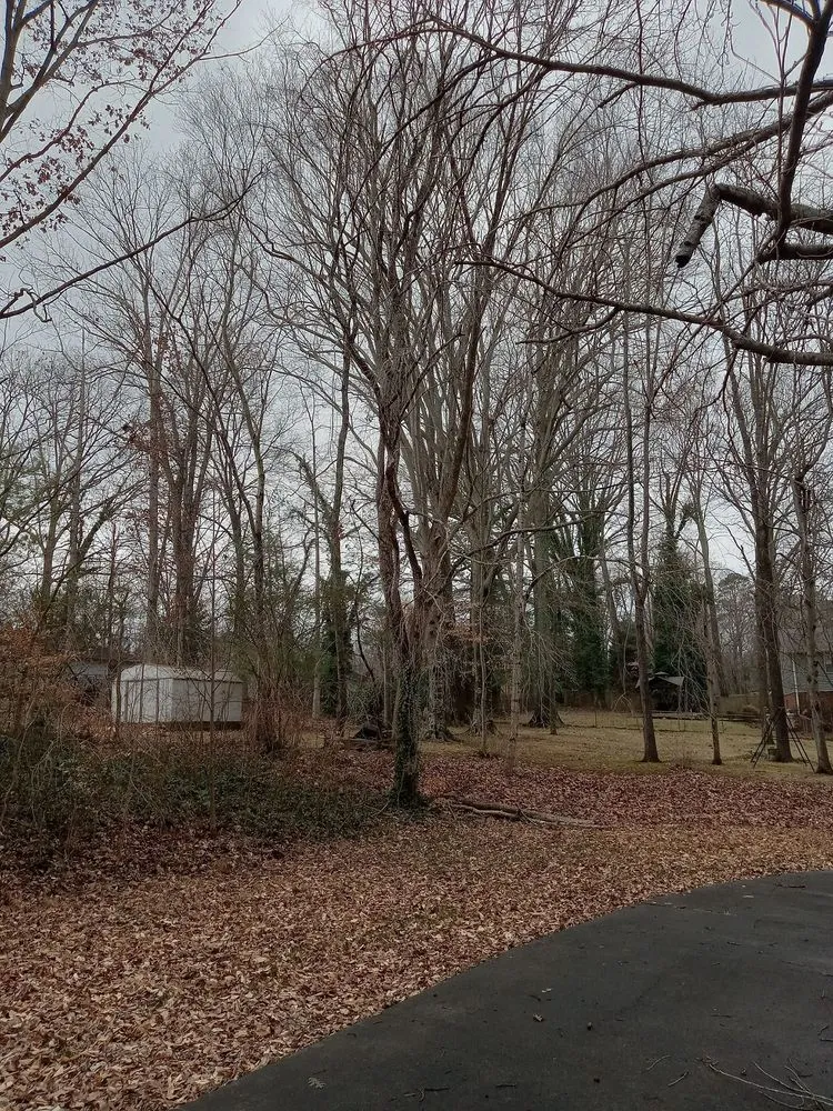 Reliable residential landscaping for year-round maintenance in Lexington, NC by Trotter Tree Service and Landscaping