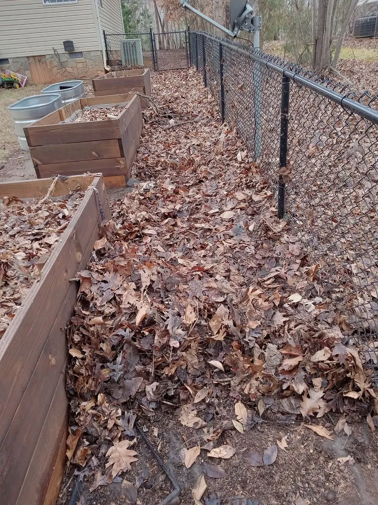 Reliable lawn care service experts serving Lexington, NC - Trotter Tree Service and Landscaping