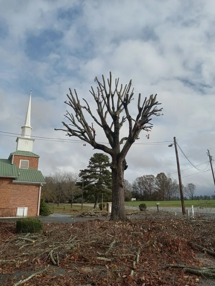 Professional landscaping services for outdoor upgrades in Lexington, NC by Trotter Tree Service and Landscaping