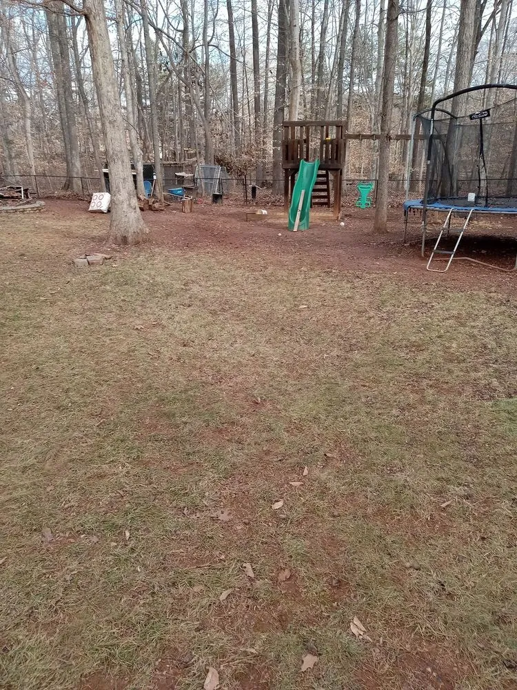 Affordable garden landscaping for year-round maintenance across Lexington, NC - Trotter Tree Service and Landscaping