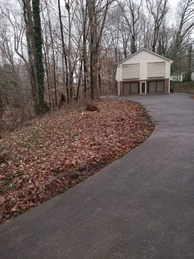 Expert yard cleanup service for beautiful yards across Lexington, NC - Trotter Tree Service and Landscaping