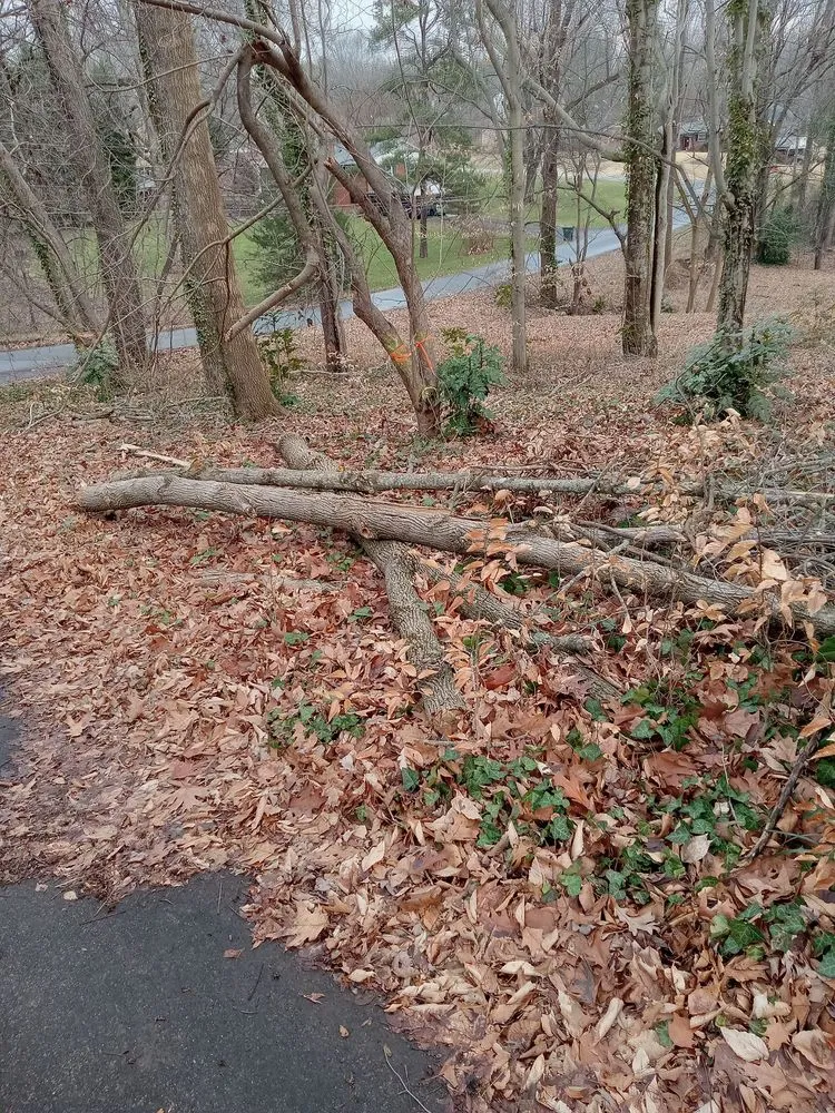 Local lawn care service for homes across Lexington, NC - Trotter Tree Service and Landscaping