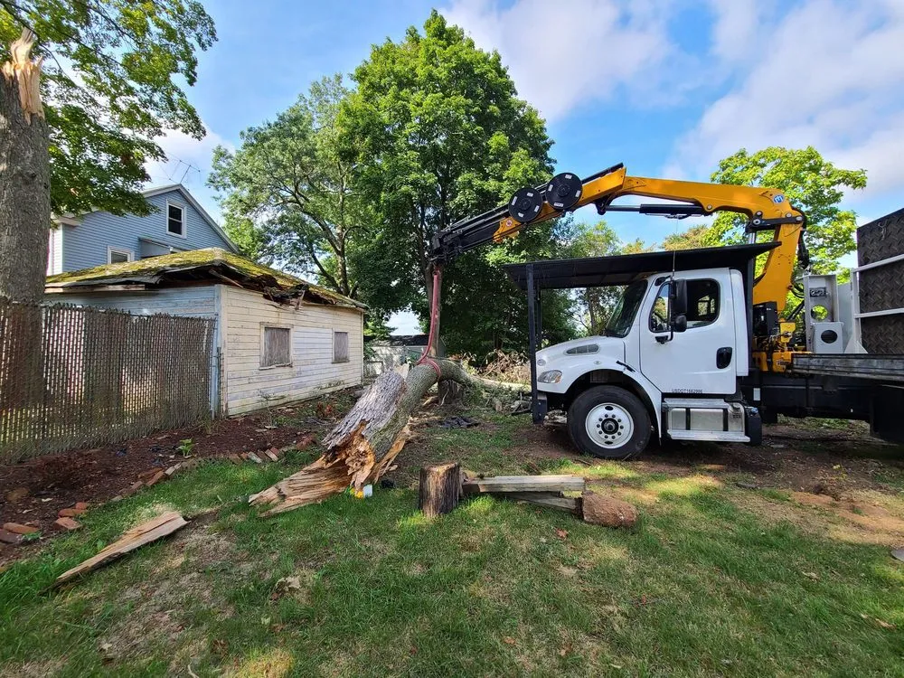 Professional landscape installation in West Hartford, CT - Trout Brook Landscaping