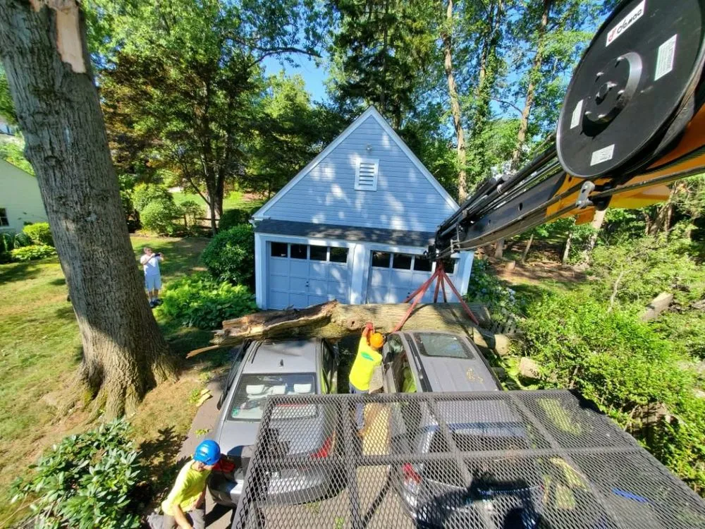 Custom yard cleanup service for beautiful yards in West Hartford, CT by Trout Brook Landscaping