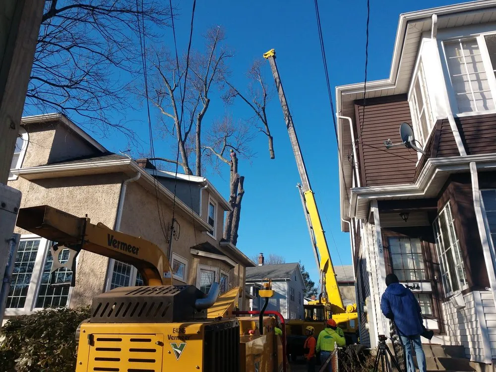 Local yard cleanup service in West Hartford, CT - Trout Brook Landscaping