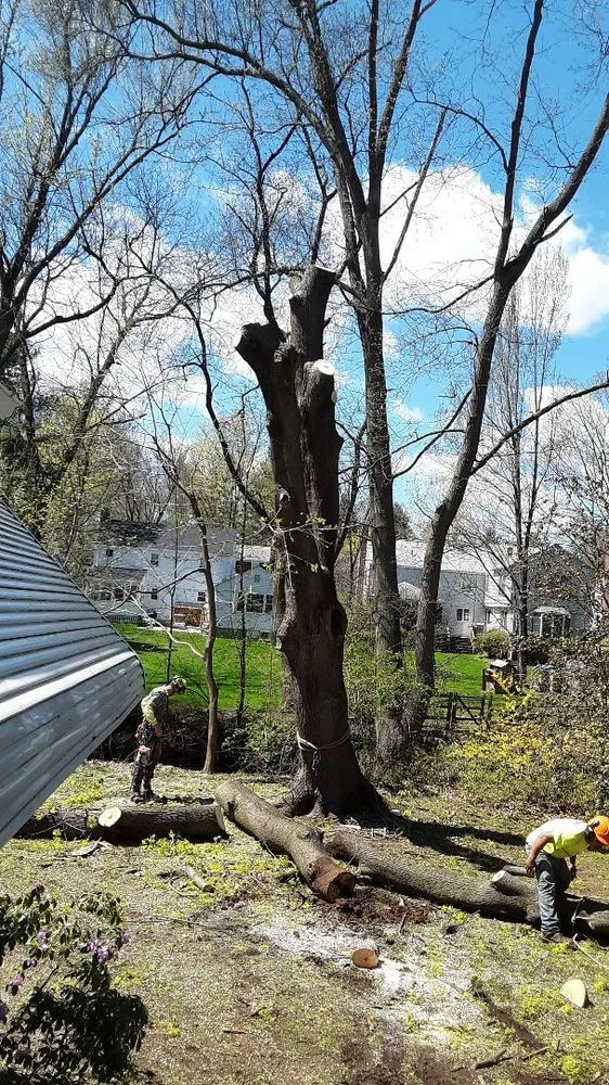 Professional yard cleanup service experts serving West Hartford, CT - Trout Brook Landscaping