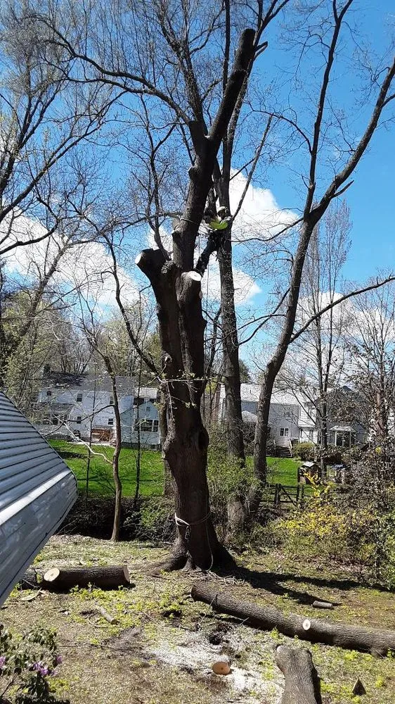 Trusted garden landscaping for beautiful yards in West Hartford, CT by Trout Brook Landscaping