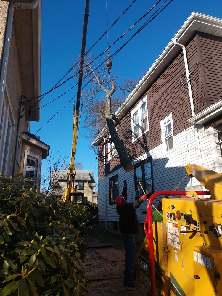 Reliable garden landscaping near you across West Hartford, CT - Trout Brook Landscaping